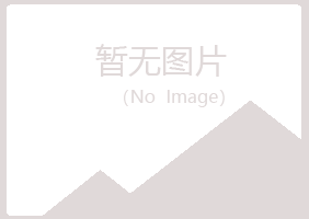 临川向彤服务有限公司